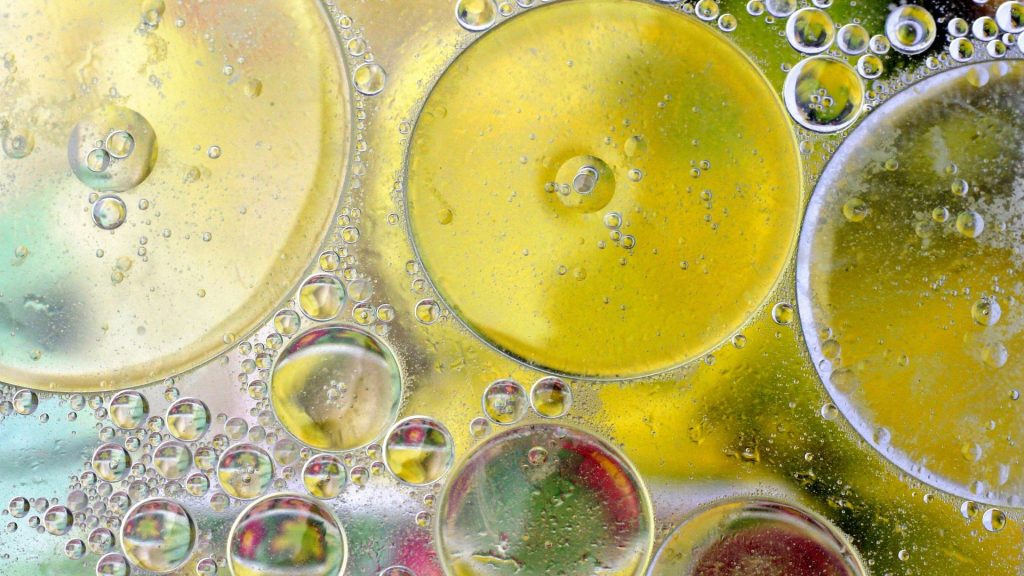 what are fermentation foods