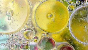 what are fermentation foods